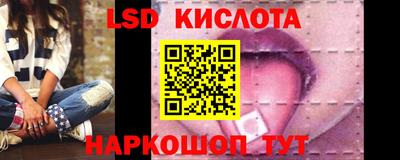 сатива Новокубанск