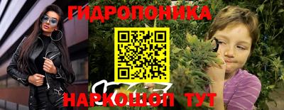 сатива Новокубанск