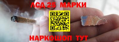 ECSTASY Новозыбков