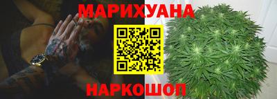 ECSTASY Новозыбков