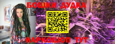 ECSTASY Новозыбков