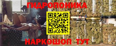 сатива Новокубанск