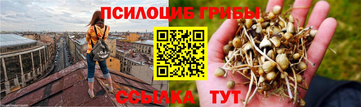 Галлюциногенные грибы мицелий Советский